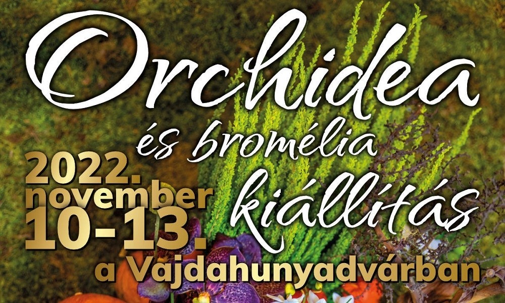 Az ősz legszebb orchidea és bromélia kiállítása!