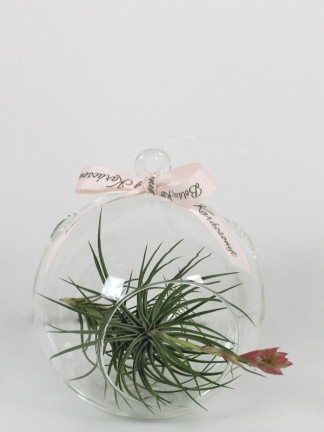 Tillandsia üveggömbben karácsonyi dekorációval 02.